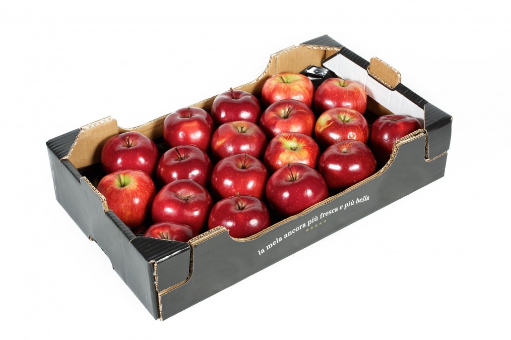 تولید کارتن میوه صادراتی بسته بندی میوه صادراتی