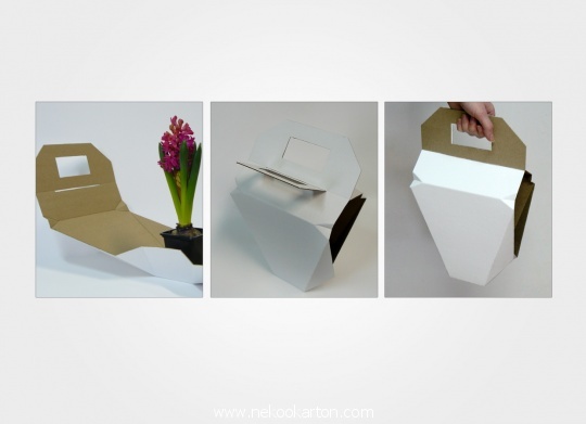 nk-flower-packaging3