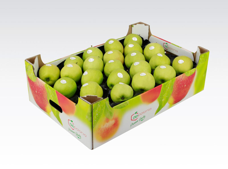بسته بندی میوه صادراتی