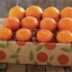 کارتن نارنگی مثل سایر میوه‌ها بر اساس حجم، تعداد و وزنی که قرار است بسته‌بندی شود، سایزهای مختلفی دارد.